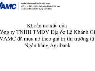Khoản nợ xấu của Công ty TNHH TMDV Địa ốc Lê Khánh Gia (Công ty Lê Khánh Gia), VAMC đã mua nợ theo giá trị thị trường từ Ngân hàng Agribank 